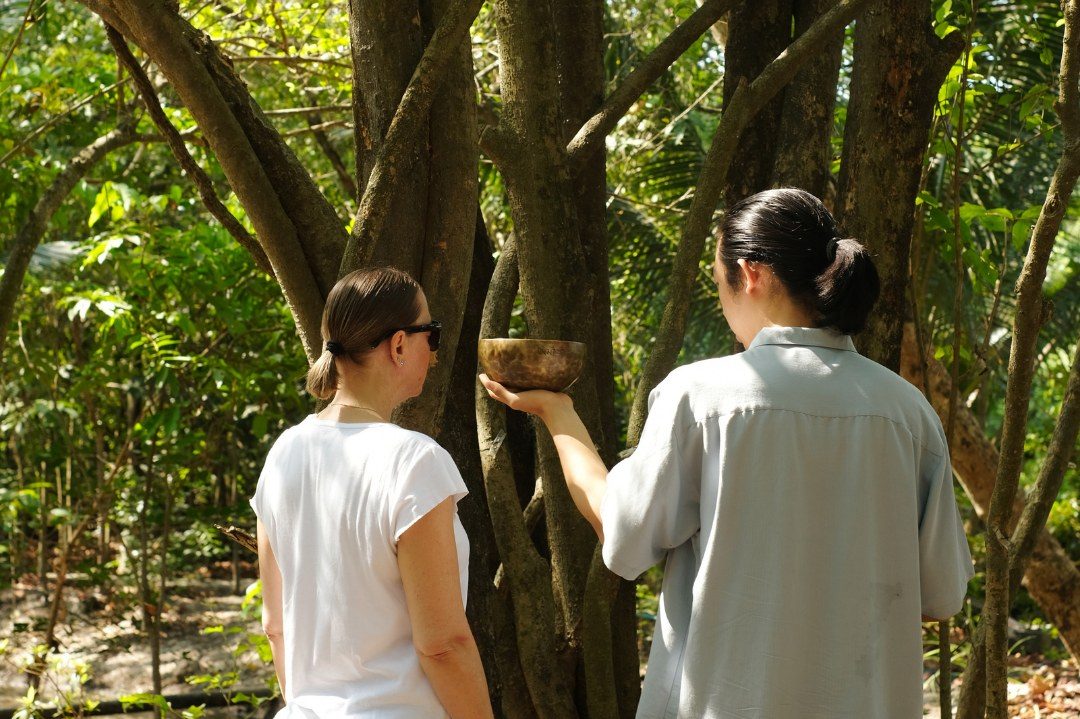 The Best Places to Practice Forest Bathing Near Bangkok (And Why It Works)