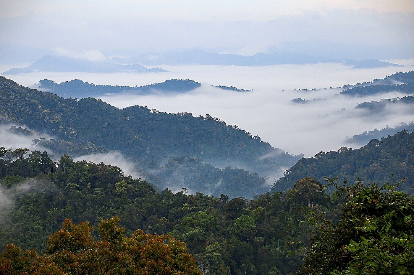 Kaeng Krachan, where the forest runs deep toward the Myanmar border.