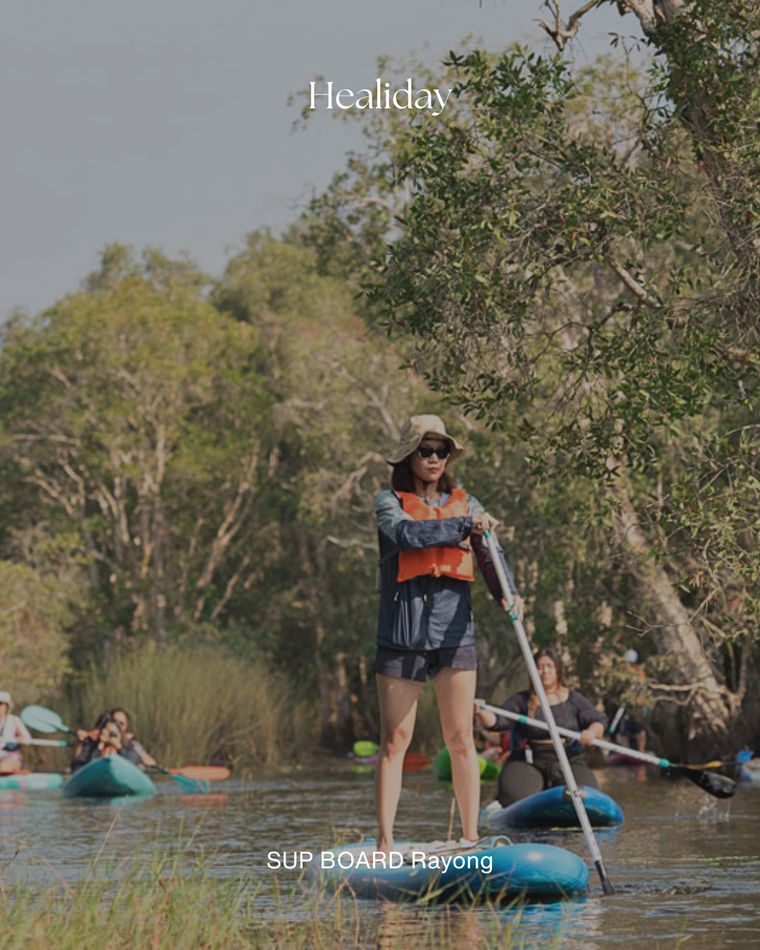 Stand-up paddleboarding among the mangroves of Rayong